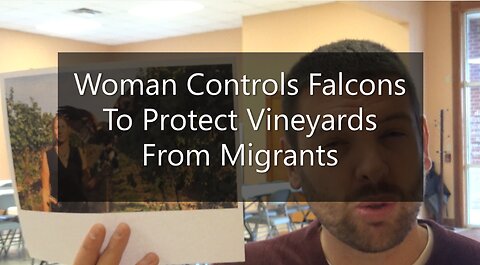 Woman Controls Falcons To Protect Vineyards From Migrants