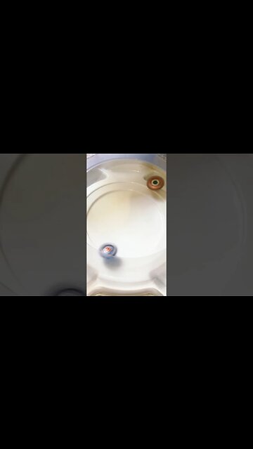 GEIST FAFNIR PASSANDO VERGONHA😂 (batalha de beyblade) #beyblade #beybladeburst #batalhadebeyblade