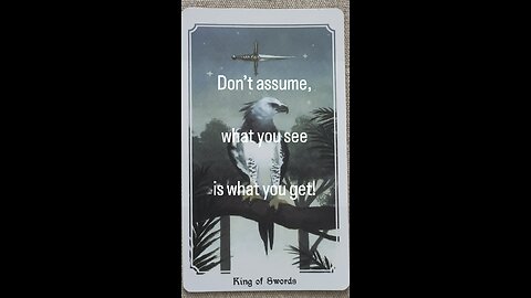 MEDITATION #logic #dontassume #whatyouseeiswhatyouget #tarot #tarotary #dailycard