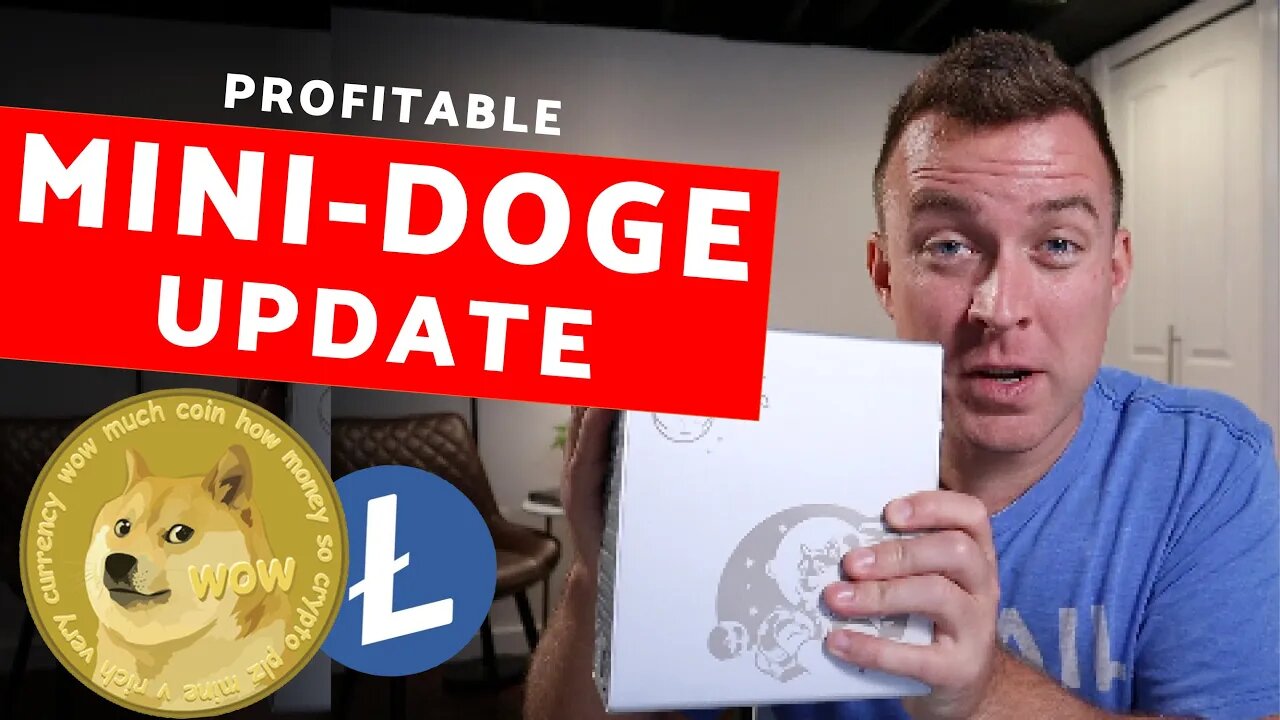 How to Update Your MiniDoge Miner | UPDATED