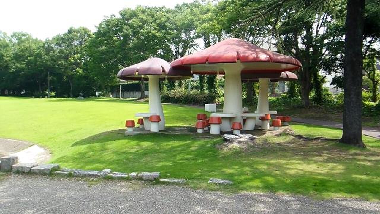 Public Fairytale Park in Japan