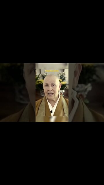 monja coen - e se eu tivesse escolhido o que eu não escolhi #shorts #sabedoria #conhecimento