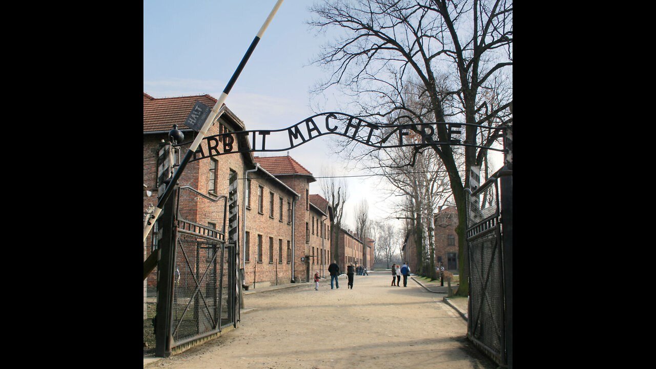 AUSCHWITZ CHE SIGNIFICA?? ELISEO BONANNO