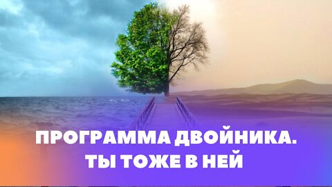 Программа Двойника