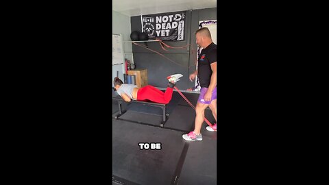 Lying leg curls
