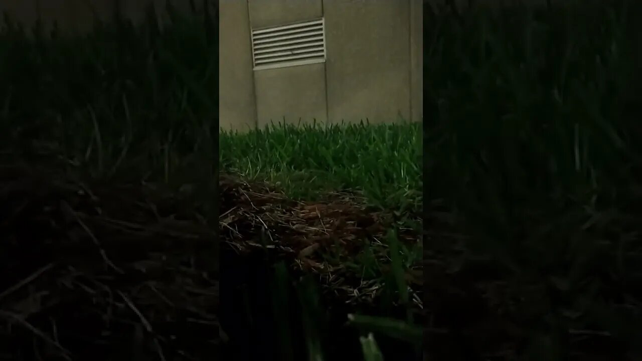 #targetedindividual blocking wars. Pt. 2. #gangstalkers cut my video off.