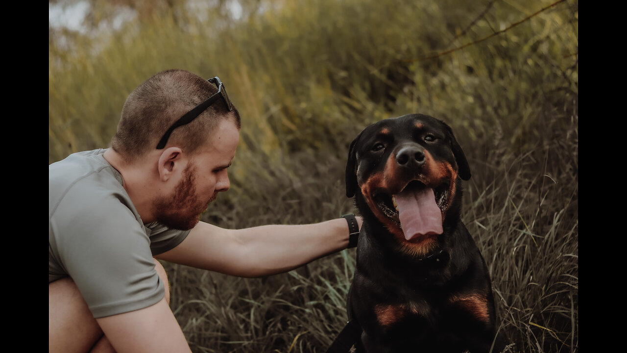 Guard Dog Training Step by Step!