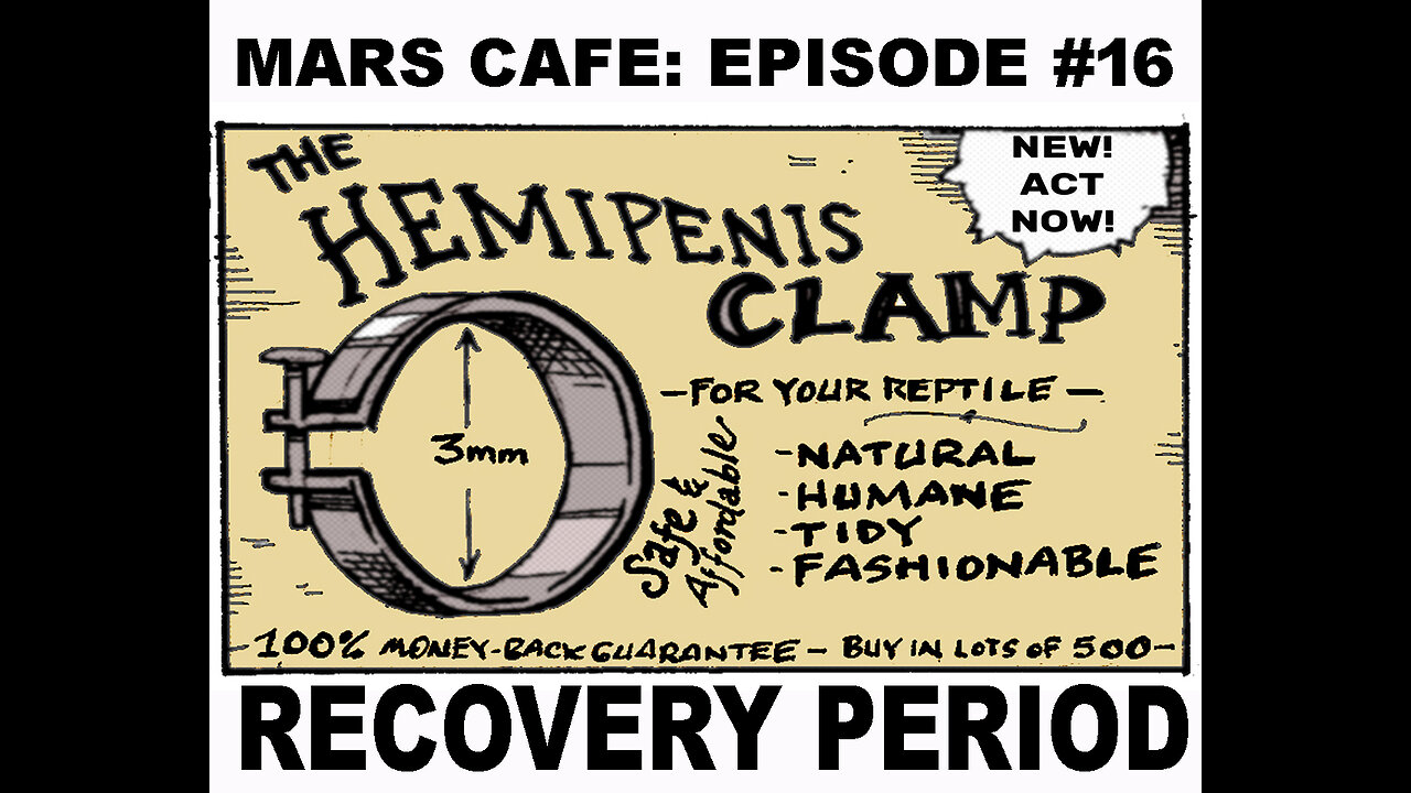 Mars Cafe #16: "Recovery Period"