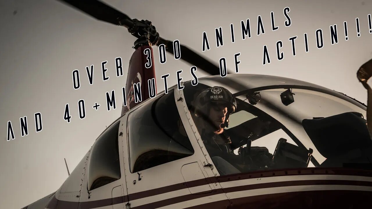 Pepper Farm Group's Helicopter Hog Hunt - Over 300 Animals!