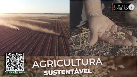 Agricultura Sustentável traz informações sobre safra 21/22 para produção de sementes de capim - RZ