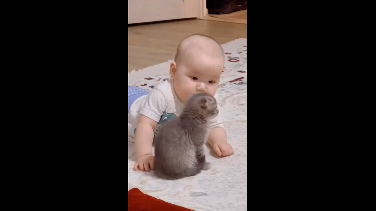 baby with cute small cat