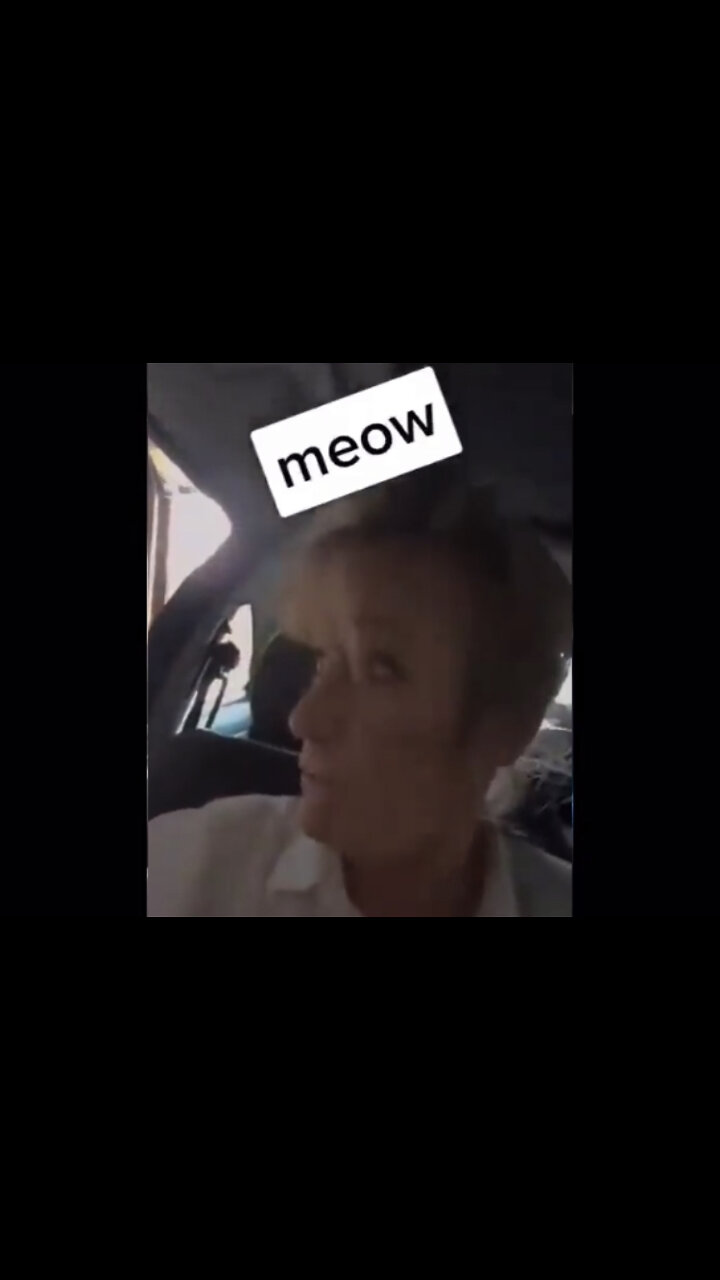 Substitute Teacher Fired For Not Meowing Back At Student Who Identifies ...