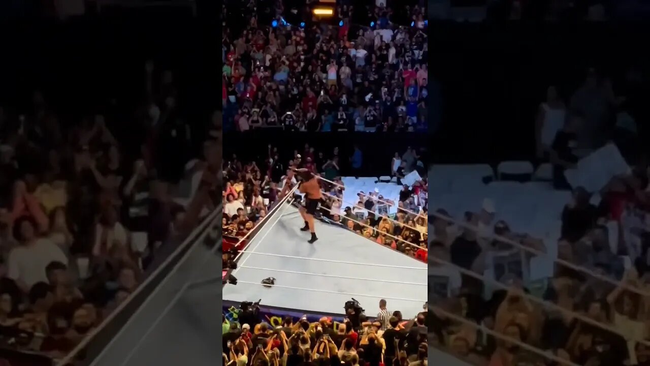 respect Brock Lesnar losing match. #brocklesnar