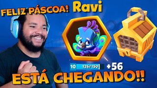 FELIZ PÁSCOA! RAVI VAI ME DAR PRESENTE? ZOOBA: Jogo de Batalha Animal