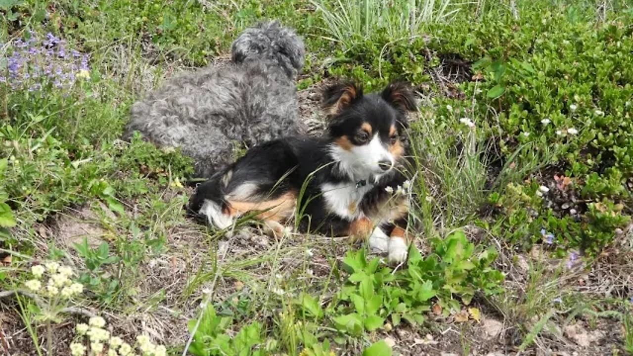 Climate Devastation Along I-80