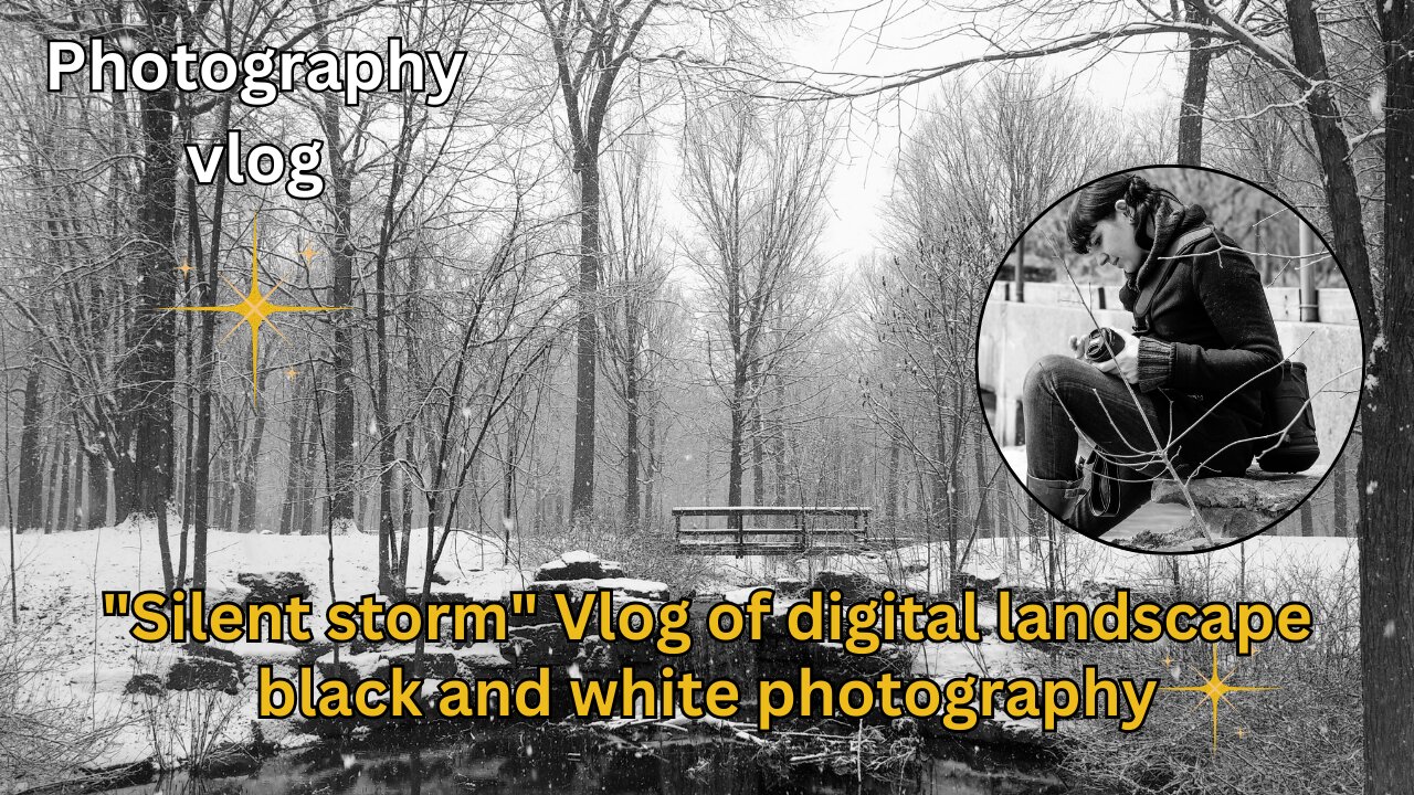 "Silent storm" | Vlog | Digital landscape black and white photography | High vibration art