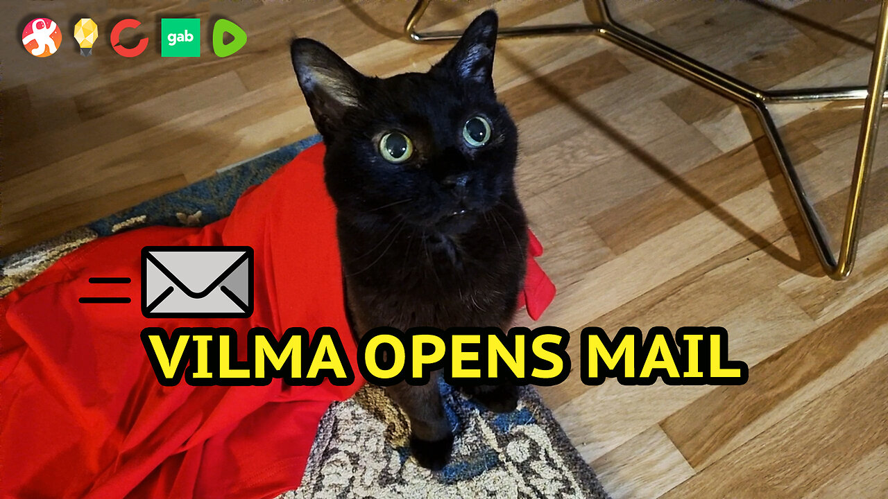 Vilma Opens Mail