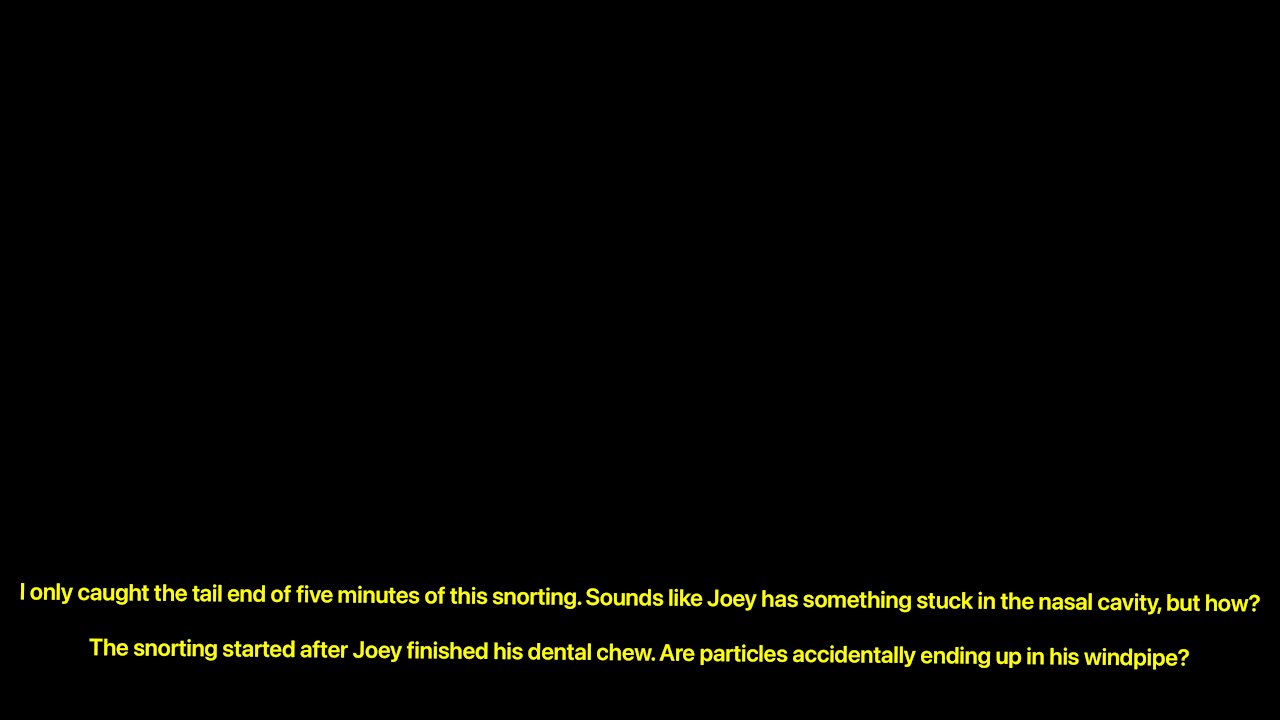 Snorting Joey