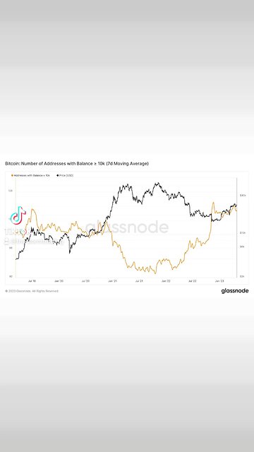 #Bitcoin Whales buy in Bear Markets! Follow the smart money!🚨