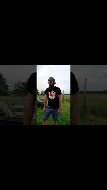 #ohhighbud #skitsbystrangedanimal #strangedanimal