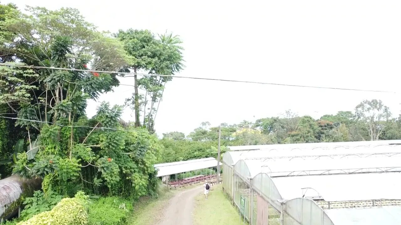 8 Eden Nature Park Greenhouse Drone View Philippines 2022