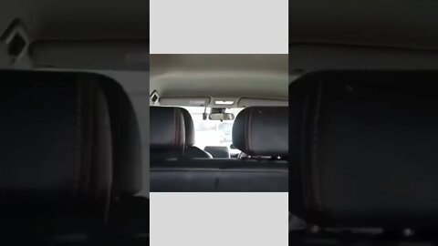 Adorable 🐕🦆🌭