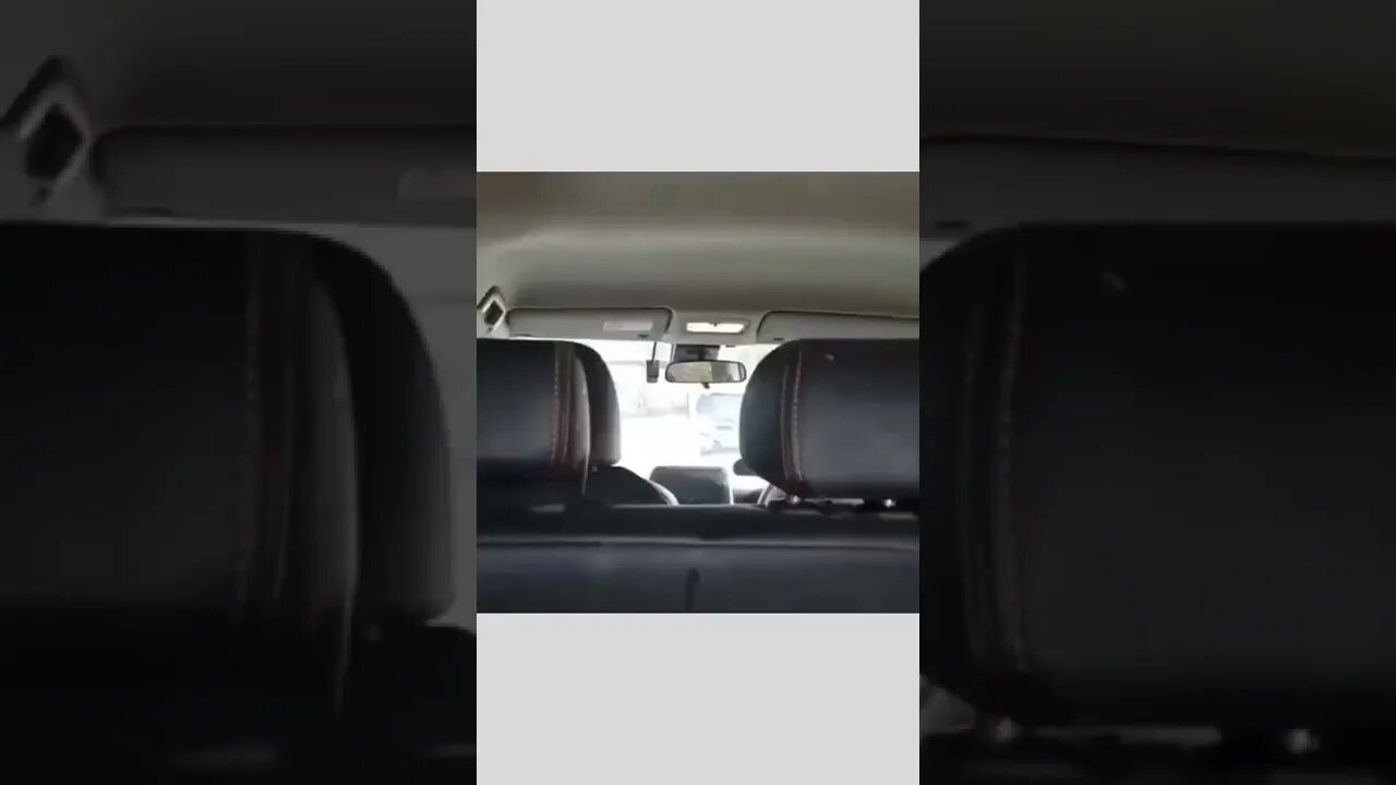 Adorable 🐕🦆🌭