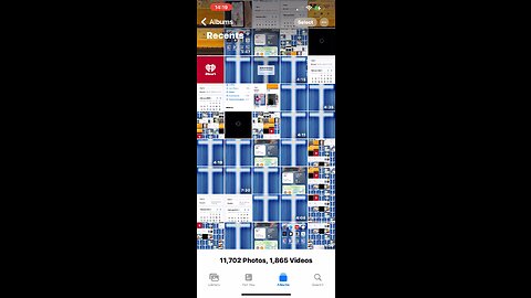 🎼❤️❤️❤️🦁❤️❤️❤️🎼