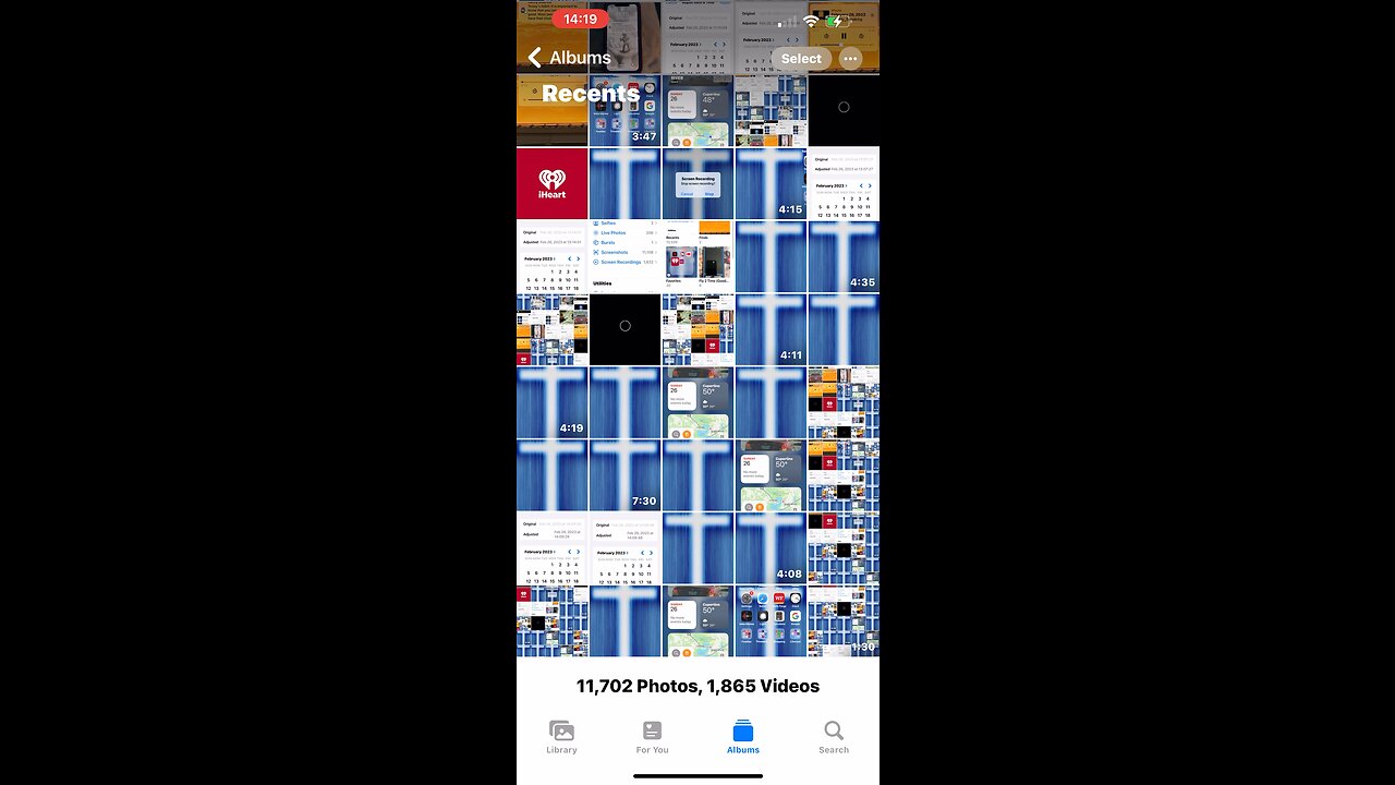 🎼❤️❤️❤️🦁❤️❤️❤️🎼