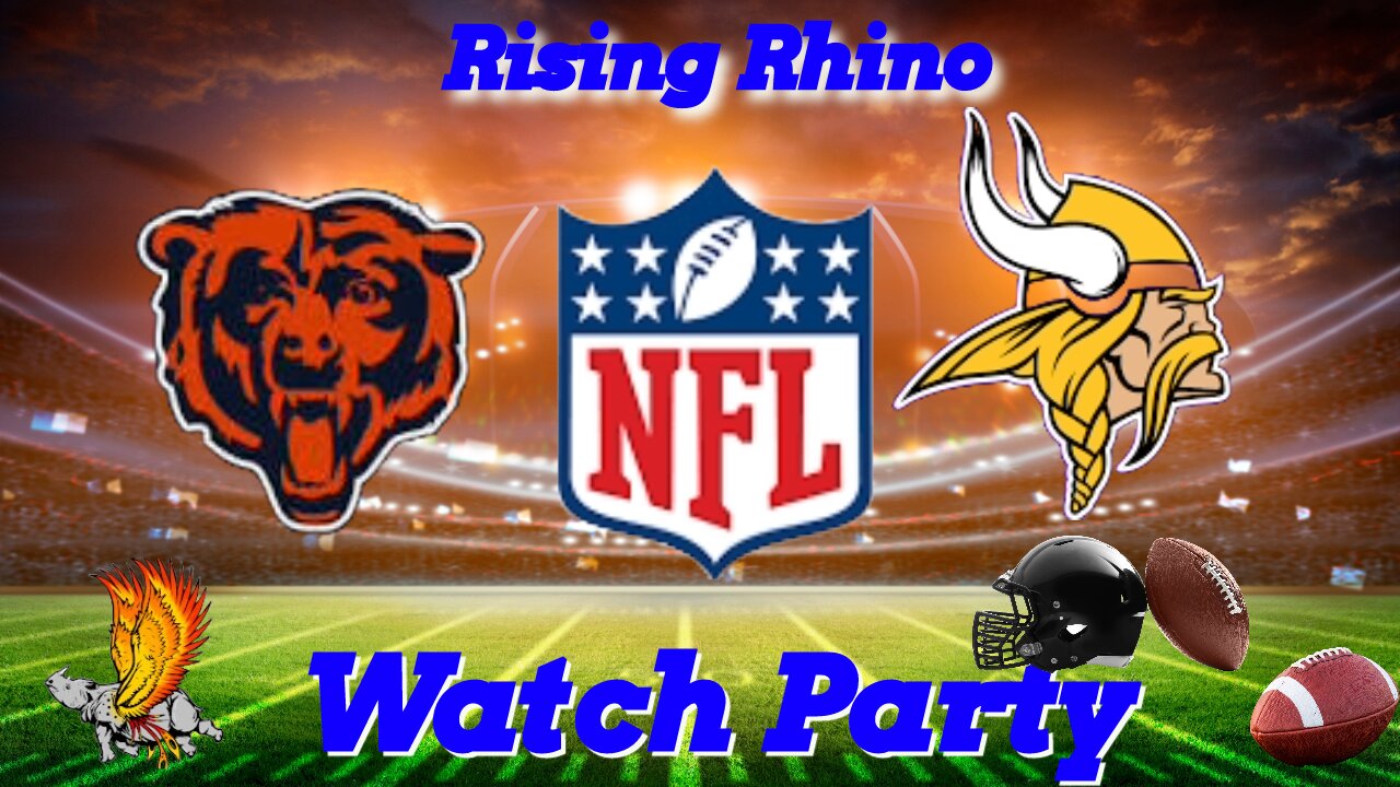 Chicago Bears vs Minnesota Vikings game