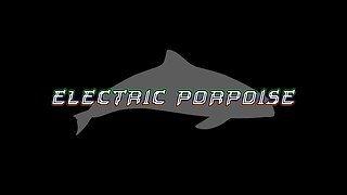 Electric Porpoise Livestream