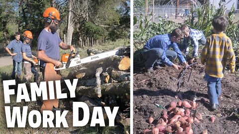 Family Farm Work Day | Epic Sweet potato Harvest | It Takes Team Work To Make The Dream Work!