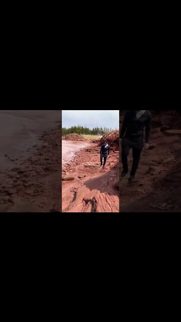 Adventuring around a beach