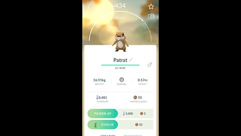 Patrat Evolves into Watchog in Pokemon GO #Pokemon #PokemonGo