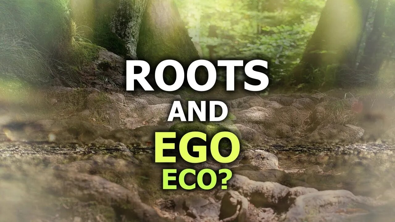 Let Go Of My Ego, Let Go Into The Eco - Let's Go