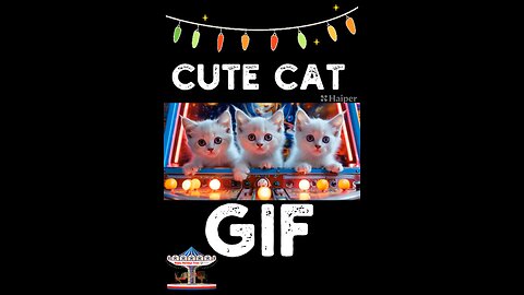 Cute Cat Gif