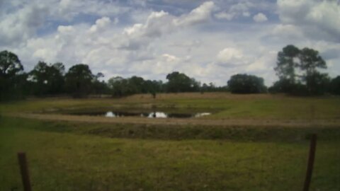 Slow and Lazy Ranch Life.