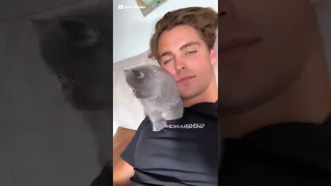 Kitty Loves Human