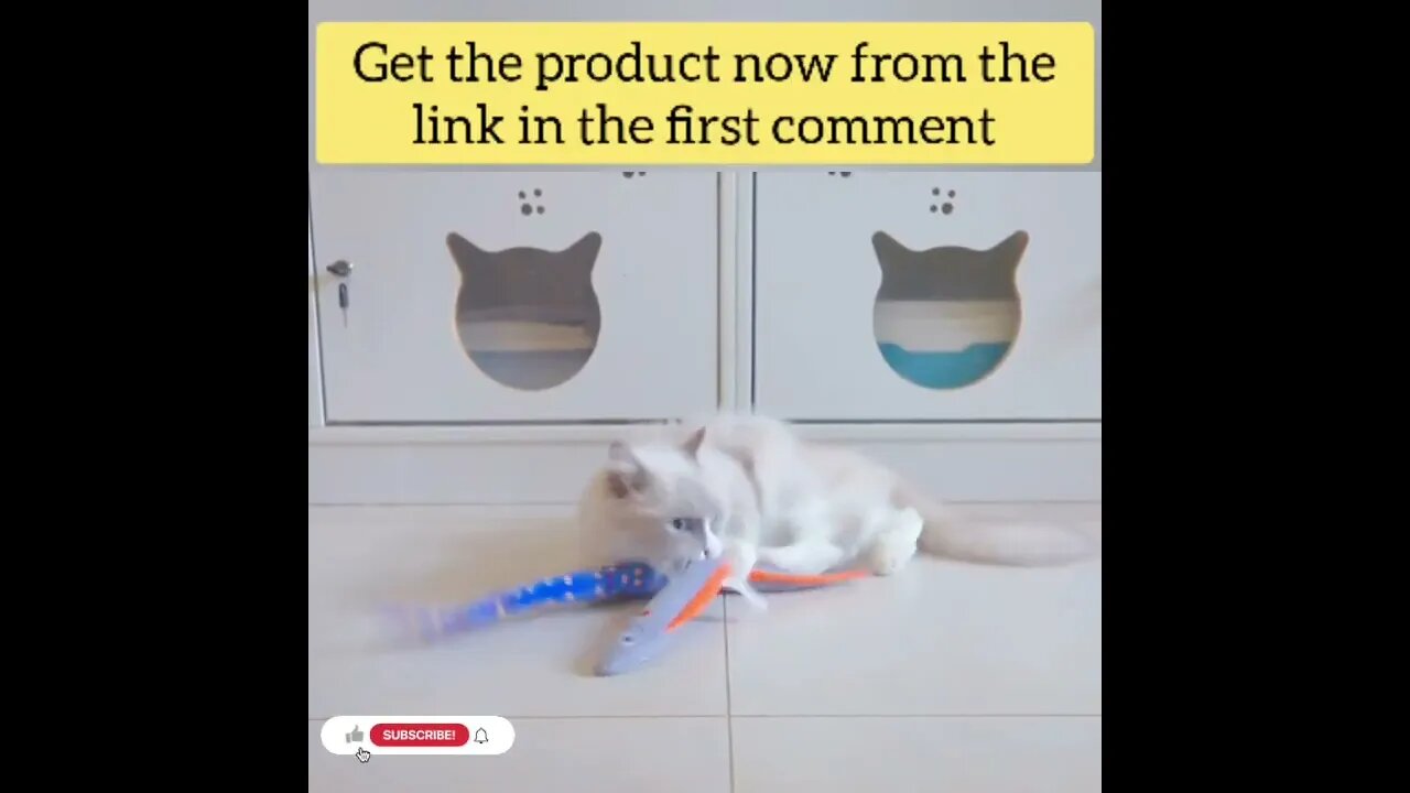 cute cat videos 😹 funny videos 😂187