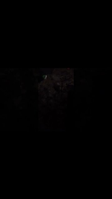 peguei 1 rato na ratoeira 2 #shorts