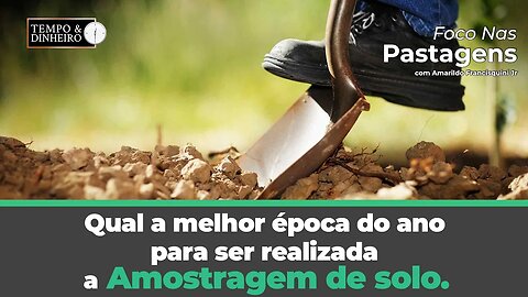 Qual a melhor época do ano para realizar a amostragem de solo na propriedade? Foco nas Pastagens!