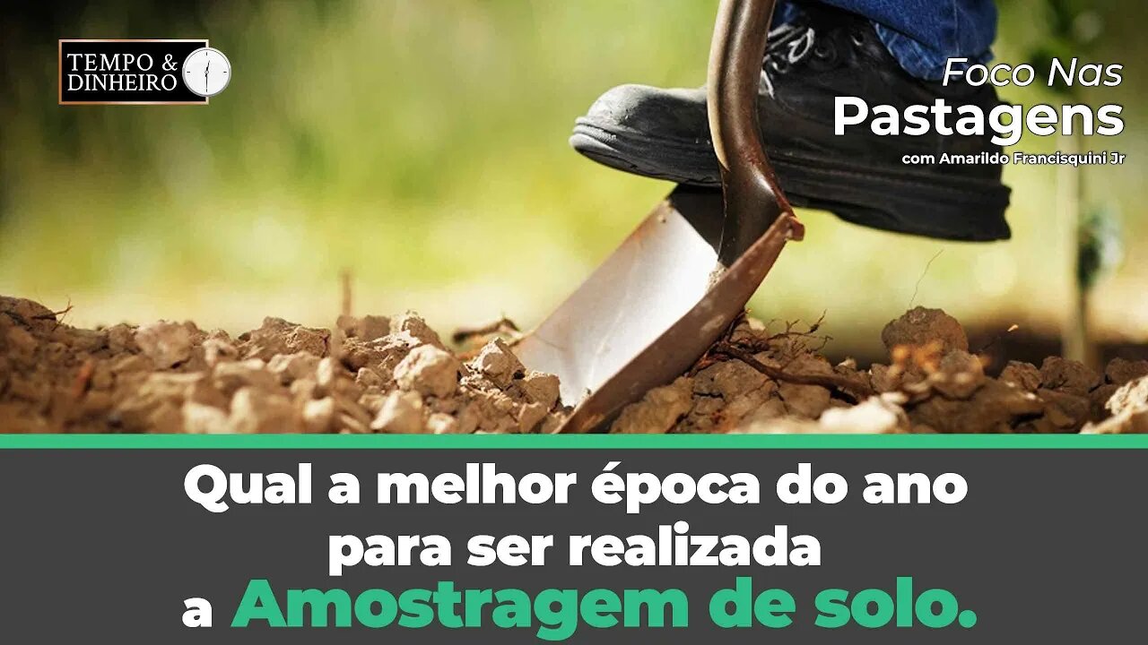 Qual a melhor época do ano para realizar a amostragem de solo na propriedade? Foco nas Pastagens!