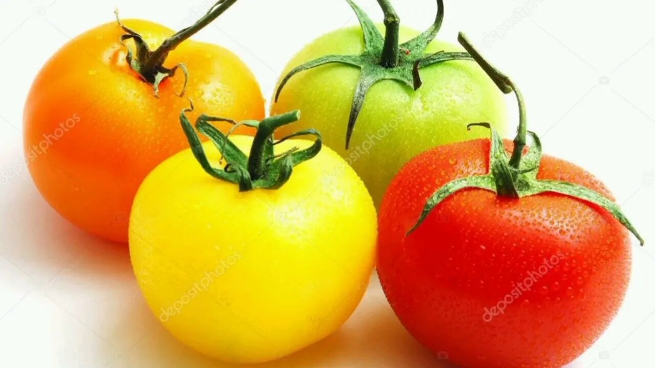 Dica para amadurecer mais rápido os tomates!