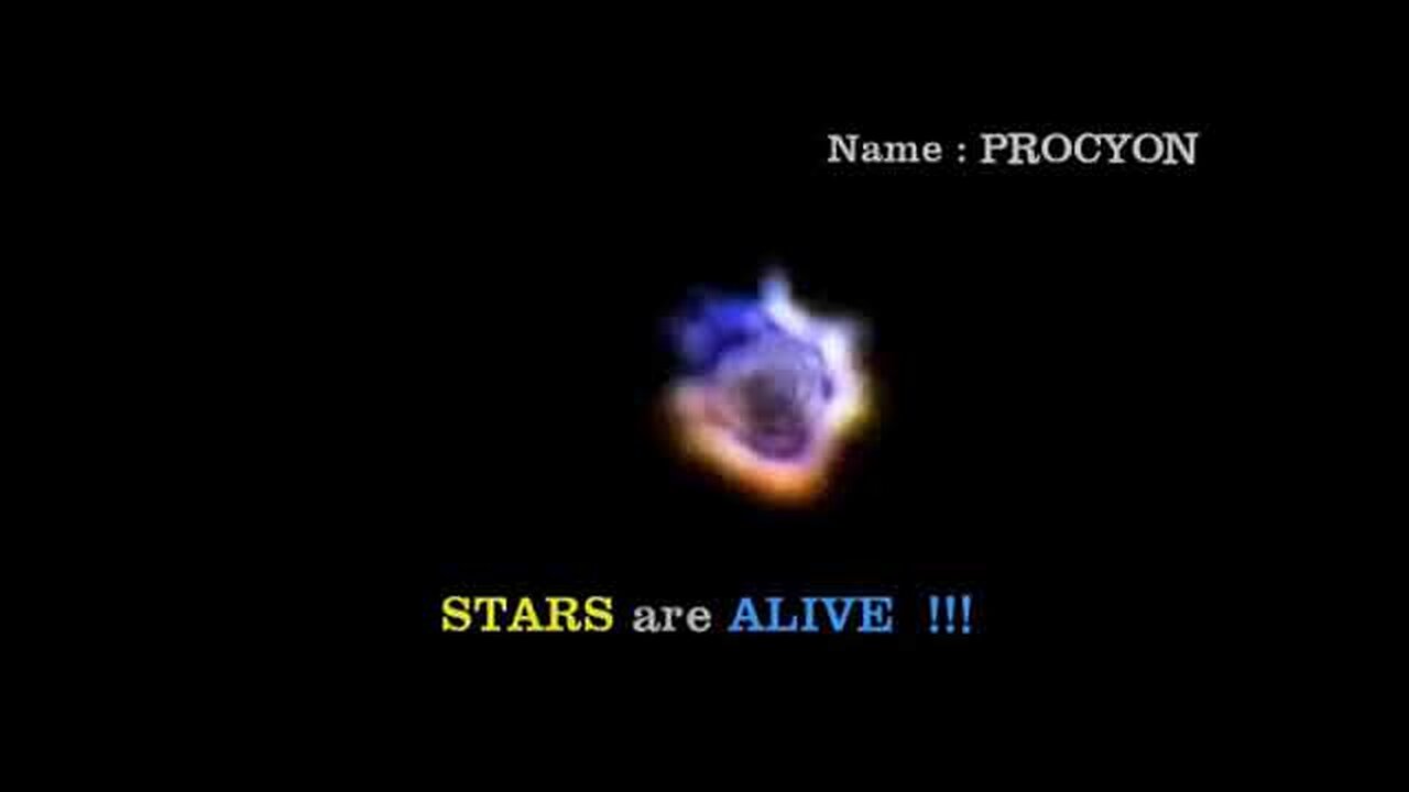 STARS ARE NOT WHAT WE HAVE BEEN TOLD THEY ARE!