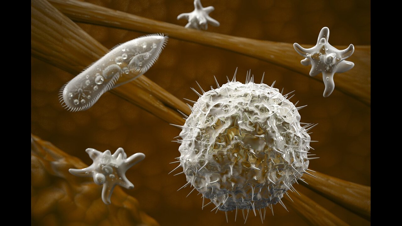 Parasites. Did U know ???