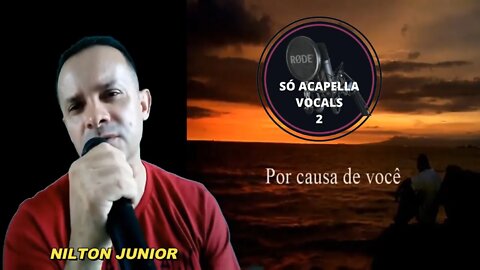 Por causa de Você - Nilton Junior ACapella