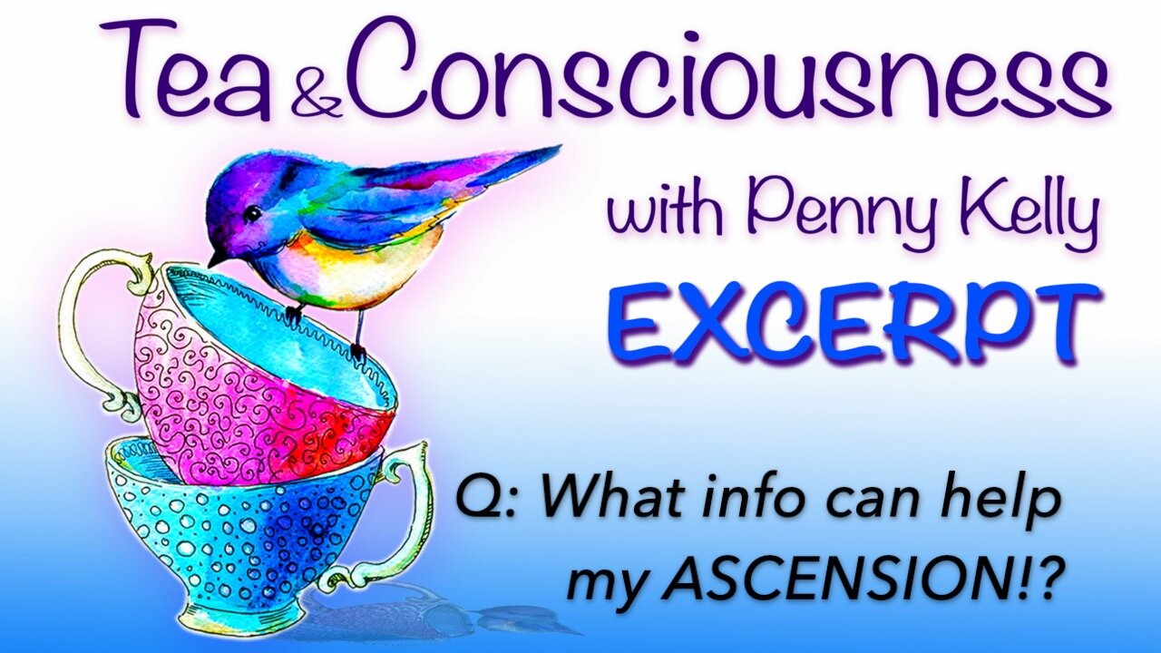 [EXCERPT] 🦋 Question: What information can help my ASCENSION?