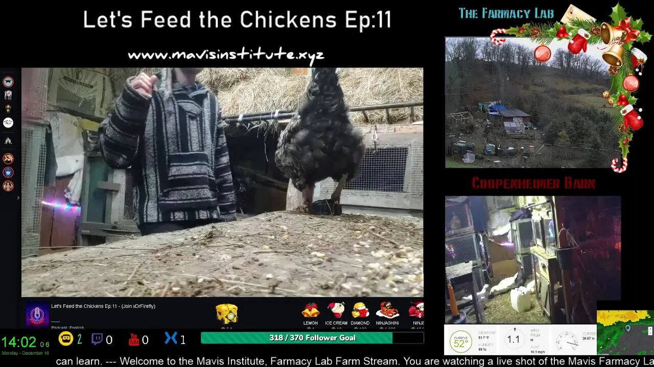 Let's Feed the Chickens - EP:11 - The History Lie