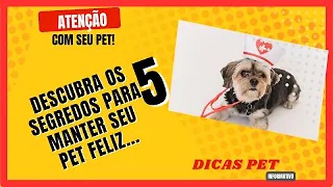 DESCUBRA ALGUMAS DICAS DE COMO FAZER SEU PET FICAR MAIS FELIZ!!!