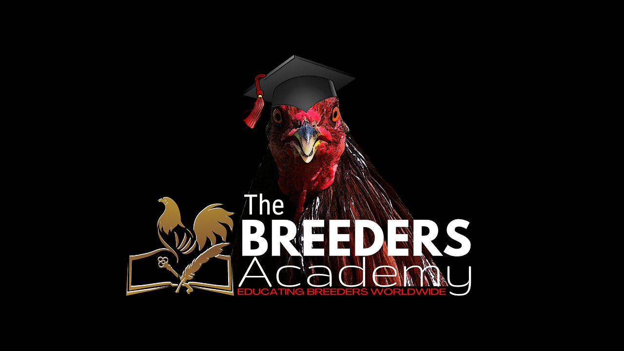 Breeders Academy – What do the Members think about the Website?
